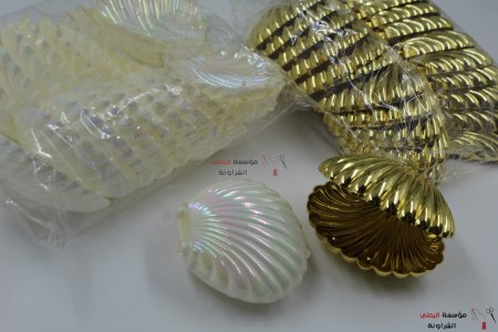 علبة شكل صدف بلاستك